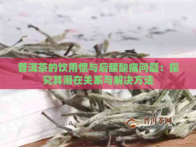 普洱茶的饮用惯与后腰酸痛问题：探究其潜在关系与解决方法