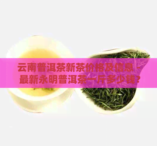 云南普洱茶新茶价格及信息 - 最新永明普洱茶一斤多少钱？