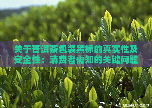 关于普洱茶包装黑标的真实性及安全性：消费者需知的关键问题解答