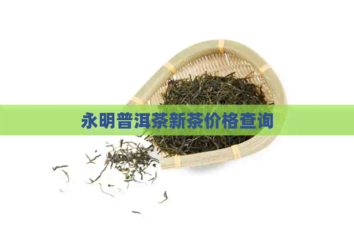 永明普洱茶新茶价格查询