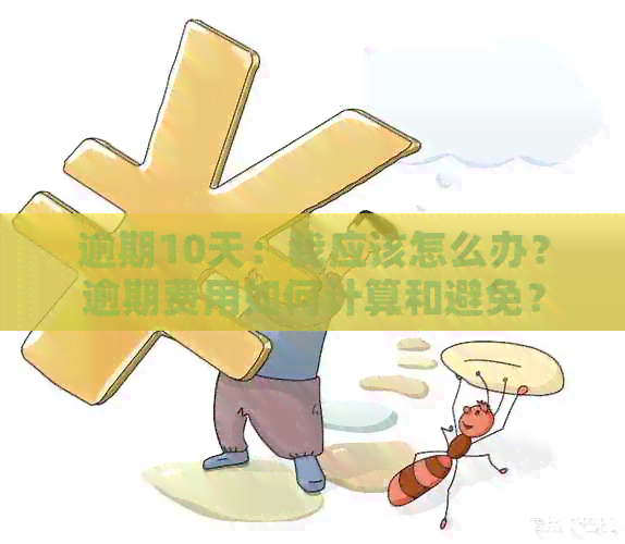 逾期10天：我应该怎么办？逾期费用如何计算和避免？