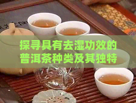 探寻具有去湿功效的普洱茶种类及其独特之处