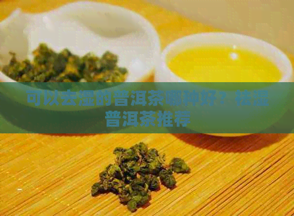 可以去湿的普洱茶哪种好？祛湿普洱茶推荐