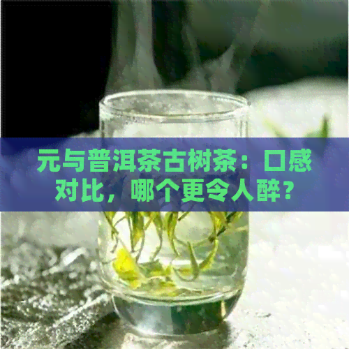 元与普洱茶古树茶：口感对比，哪个更令人醉？