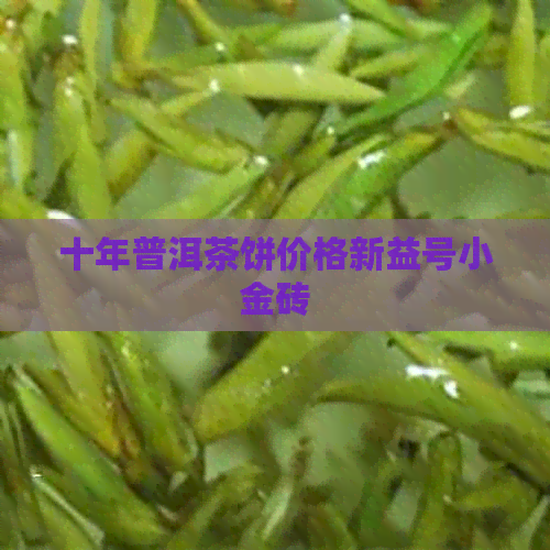 十年普洱茶饼价格新益号小金砖