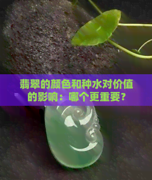 翡翠的颜色和种水对价值的影响：哪个更重要？