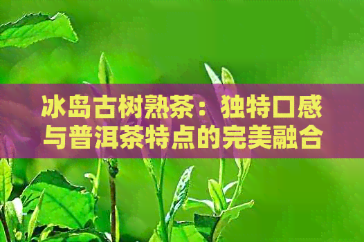 冰岛古树熟茶：独特口感与普洱茶特点的完美融合