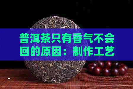 普洱茶只有香气不会回的原因：制作工艺与陈化过程的关键因素