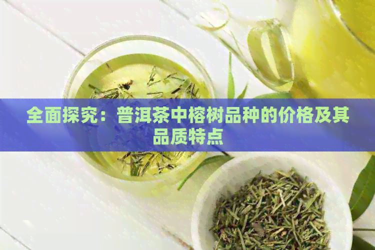 全面探究：普洱茶中榕树品种的价格及其品质特点