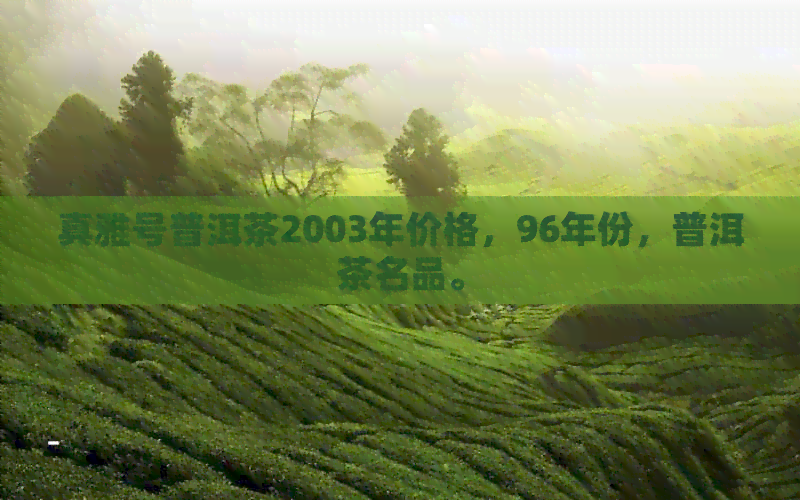 真雅号普洱茶2003年价格，96年份，普洱茶名品。