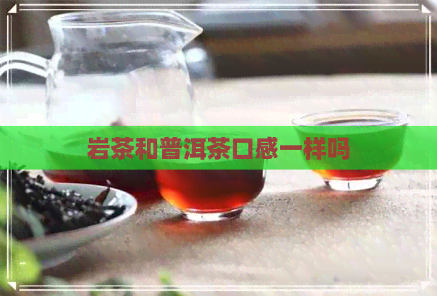 岩茶和普洱茶口感一样吗