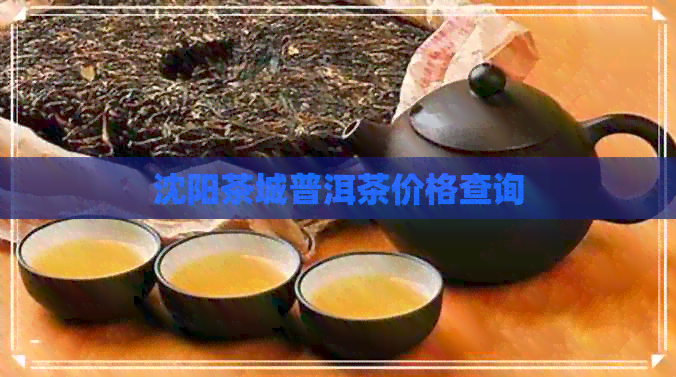 沈阳茶城普洱茶价格查询