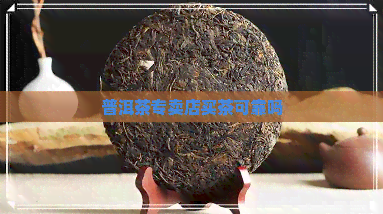 普洱茶专卖店买茶可靠吗