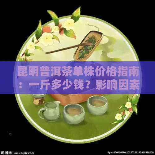 昆明普洱茶单株价格指南：一斤多少钱？影响因素有哪些？