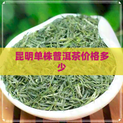 昆明单株普洱茶价格多少