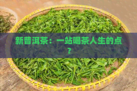 新普洱茶：一站喝茶人生的点？