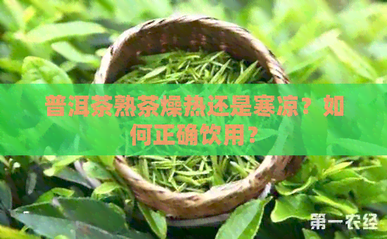 普洱茶熟茶燥热还是寒凉？如何正确饮用？