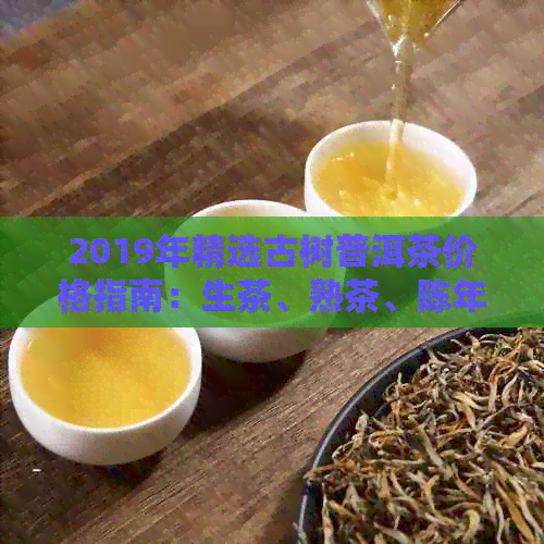 2019年精选古树普洱茶价格指南：生茶、熟茶、陈年老茶一览无余