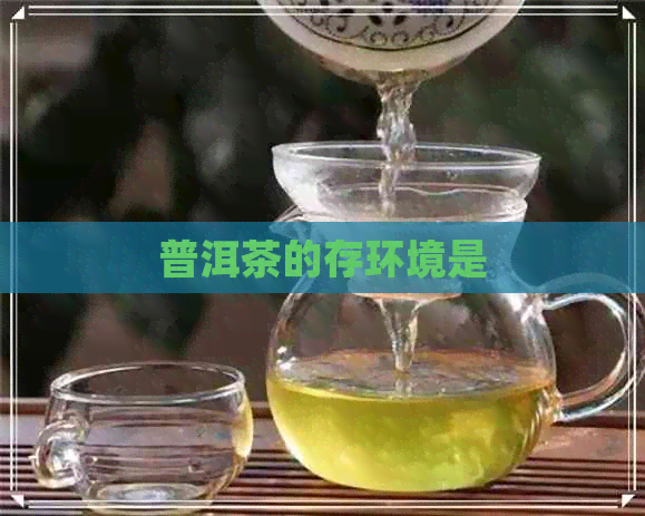 普洱茶的存环境是