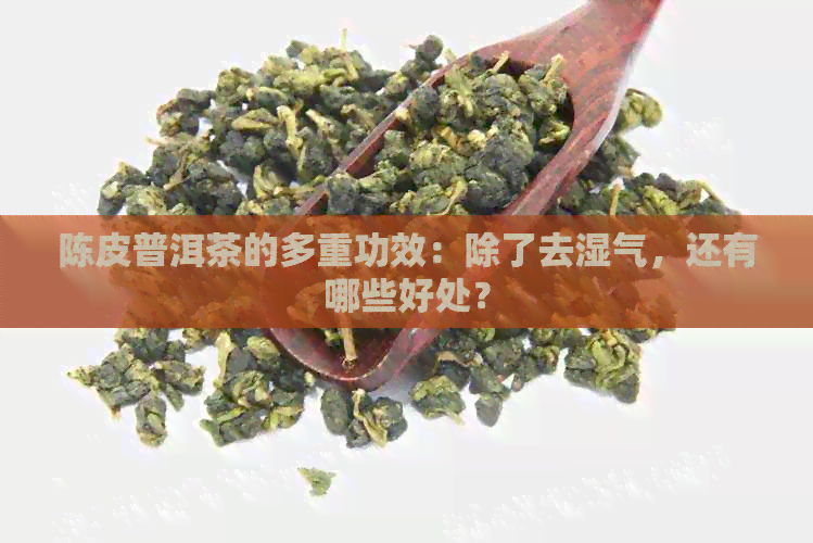 陈皮普洱茶的多重功效：除了去湿气，还有哪些好处？