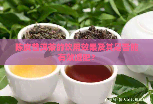 陈皮普洱茶的饮用效果及其是否能有效减肥？