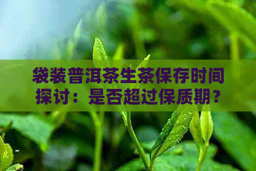 袋装普洱茶生茶保存时间探讨：是否超过保质期？