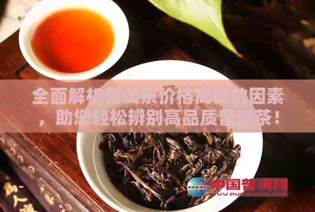 全面解析普洱茶价格高低的因素，助您轻松辨别高品质普洱茶！