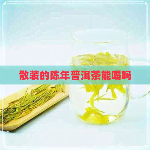 散装的陈年普洱茶能喝吗