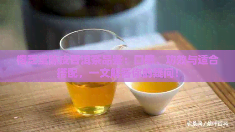 榕芝堂陈皮普洱茶品鉴：口感、功效与适合搭配，一文解答你的疑问！