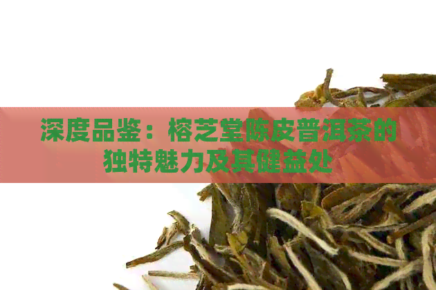 深度品鉴：榕芝堂陈皮普洱茶的独特魅力及其健益处