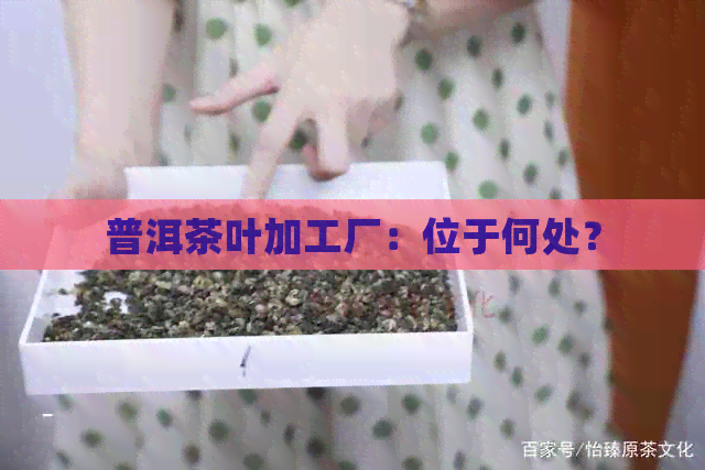 普洱茶叶加工厂：位于何处？