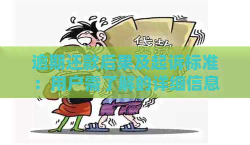 逾期还款后果及起诉标准：用户需了解的详细信息