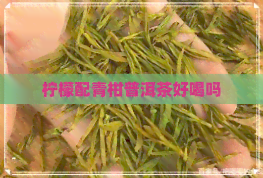 柠檬配青柑普洱茶好喝吗