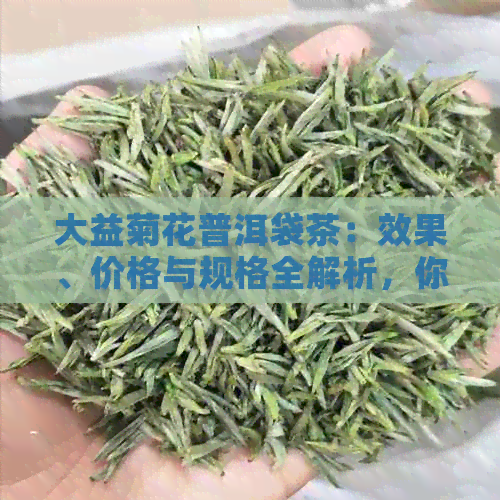 大益菊花普洱袋茶：效果、价格与规格全解析，你知道每盒多少钱吗？