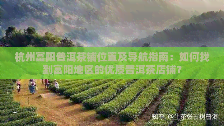 杭州富阳普洱茶铺位置及导航指南：如何找到富阳地区的优质普洱茶店铺？