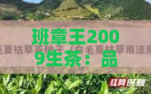 班章王2009生茶：品质、产地、制作工艺、口感、收藏价值全方位解析