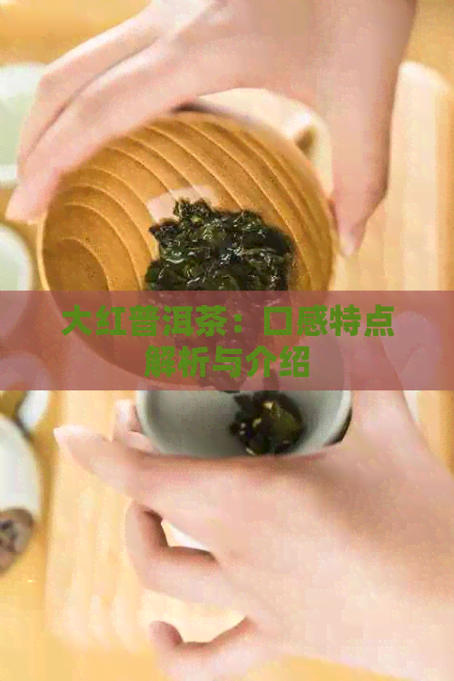 大红普洱茶：口感特点解析与介绍