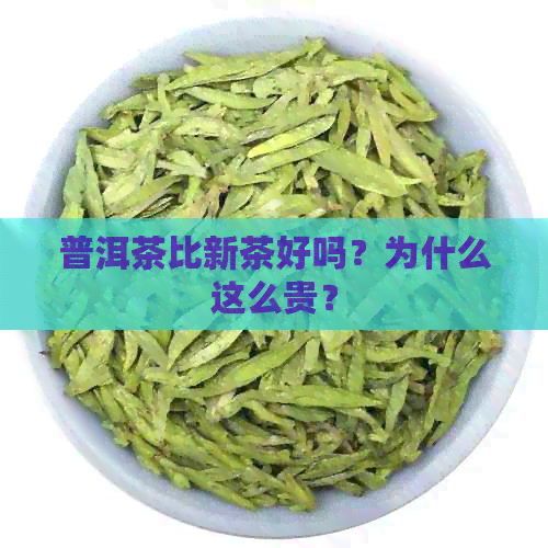 普洱茶比新茶好吗？为什么这么贵？