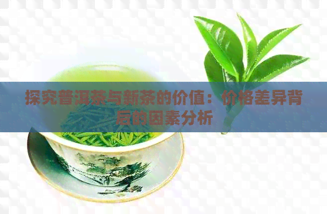 探究普洱茶与新茶的价值：价格差异背后的因素分析