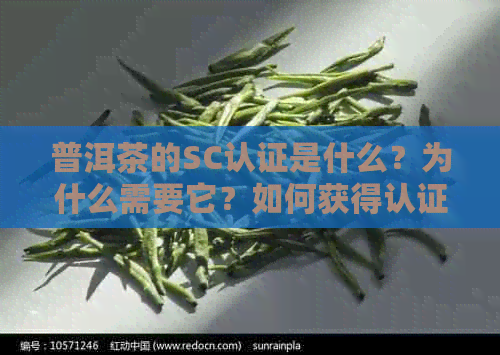 普洱茶的SC认证是什么？为什么需要它？如何获得认证？