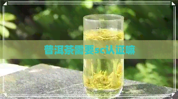 普洱茶需要sc认证嘛