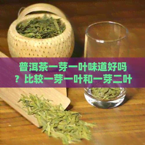 普洱茶一芽一叶味道好吗？比较一芽一叶和一芽二叶哪个更好？