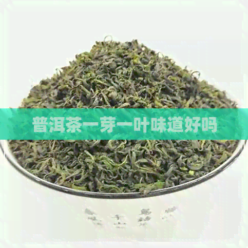 普洱茶一芽一叶味道好吗