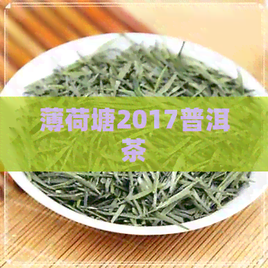 薄荷塘2017普洱茶