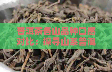 普洱茶各山品种口感对比：探寻山系普洱茶的秘诀