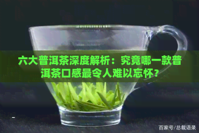 六大普洱茶深度解析：究竟哪一款普洱茶口感最令人难以忘怀？