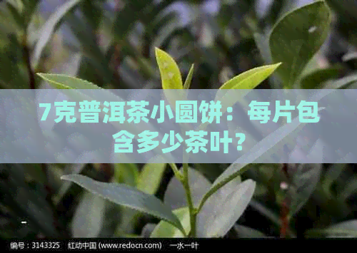 7克普洱茶小圆饼：每片包含多少茶叶？