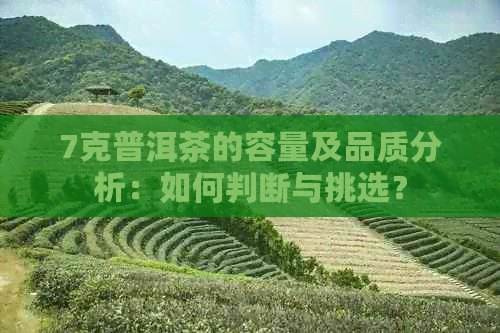 7克普洱茶的容量及品质分析：如何判断与挑选？