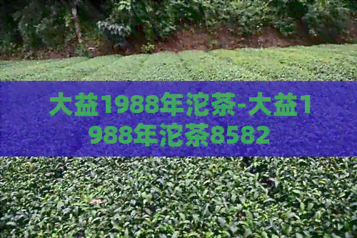 大益1988年沱茶-大益1988年沱茶8582