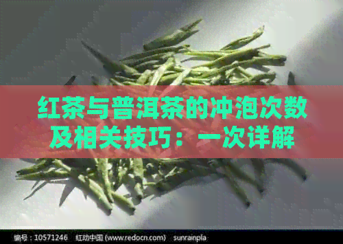 红茶与普洱茶的冲泡次数及相关技巧：一次详解